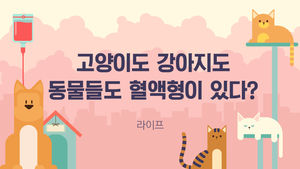 [라이프] 고양이도 강아지도&hellip;동물들도 혈액형이 있다?