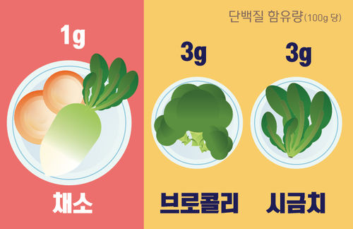 https://img.sbs.co.kr/newimg/news/20170220/201024415_500.jpg