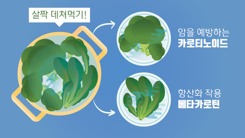 브로콜리와 시금치는 생으로 먹기보다 익히거나 살짝 데쳐먹는 것이 더 좋습니다.