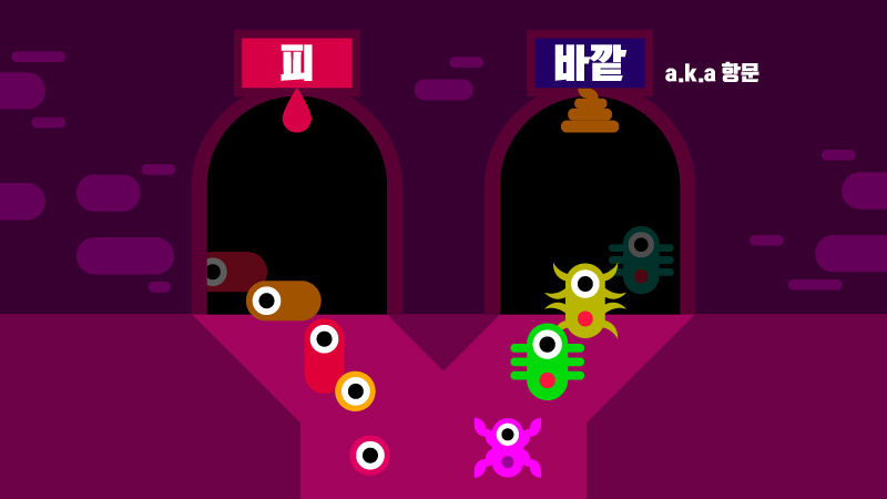 [라이프] '배짱' 키우려면 배를 튼튼히?…장과 뇌의 신기한 관계