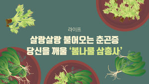 [라이프] 살랑살랑 불어오는 춘곤증&hellip;당신을 깨울 ‘봄나물 삼총사’