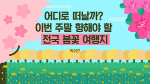 [라이프] 어디로 떠날까? 이번 주말 향해야 할 전국 봄꽃 여행지