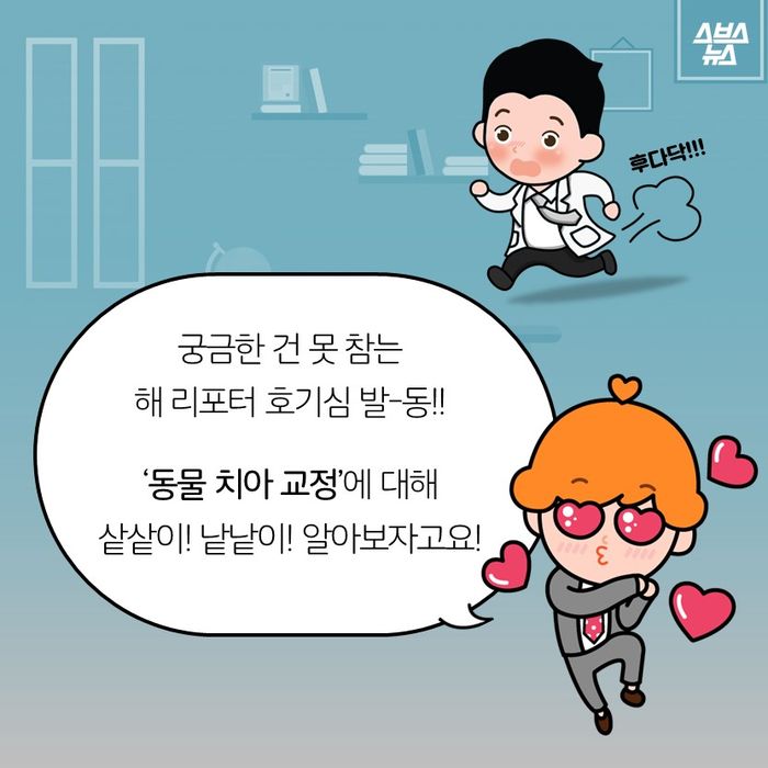 메인이미지  5 : 궁금한 건 못 참는 
해 리포터 호기심 발-동!!

‘동물 치아 교정’에 대해 
샅샅이! 낱낱이! 알아보자고요!