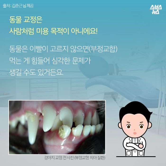 메인이미지  7 : 동물 교정은
사람처럼 미용 목적이 아니에요!

동물은 이빨이 고르지 않으면(부정교합)
먹는 게 힘들어 심각한 문제가
생길 수도 있거든요.
