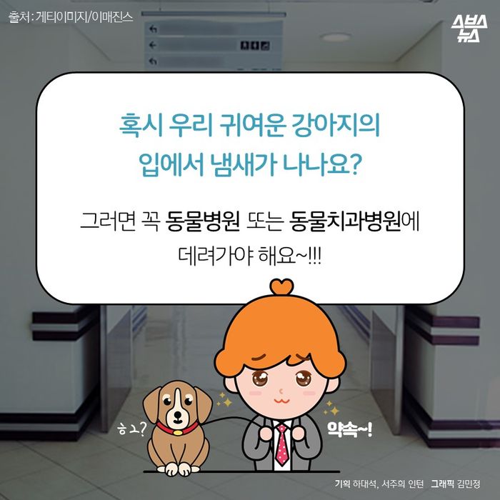 메인이미지  12 : 혹시 우리 귀여운 강아지의
입에서 냄새가 나나요?

그러면 꼭 동물병원 또는 동물치과병원에
데려가야 해요∼!!!