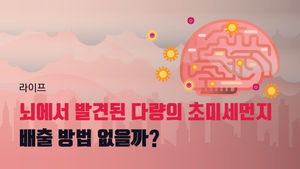 [라이프] 뇌에서 발견된 다량의 초미세먼지&hellip;배출 방법 없을까?