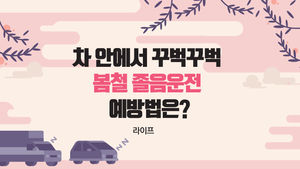 [라이프] 차 안에서 꾸벅꾸벅…봄철 졸음운전 예방법은?