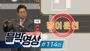 (일요일용) [비디오머그 블박영상] 하늘로 솟아도 못 피할 택시 제114화 그런데 내 탓이라고?