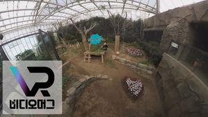 [비디오머그 VR] 에버랜드 판다
