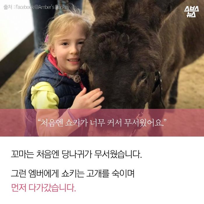 메인이미지  7 : &ldquo;처음엔 쇼키가 너무 커서 무서웠어요.&rdquo;

꼬마는 처음엔 당나귀가 무서웠습니다.

그런 엠버에게 쇼키는 고개를 숙이며 
먼저 다가갔습니다.
