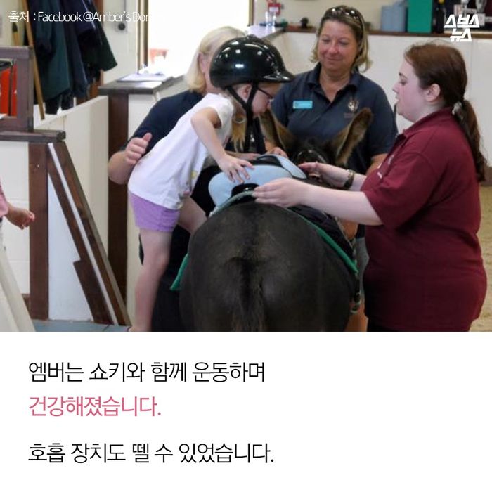 메인이미지  9 : 엠버는 쇼키와 함께 운동하며
건강해졌습니다. 

호흡 장치도 뗄 수 있었습니다. 
