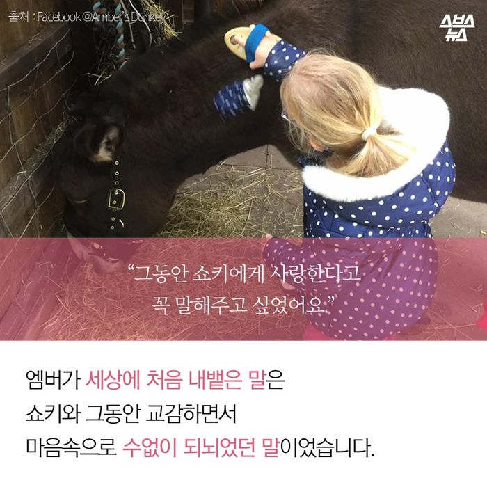 메인이미지  12 : &ldquo;그동안 쇼키에게 사랑한다고
꼭 말해주고 싶었어요.&rdquo;

엠버가 세상에 처음 내뱉은 말은
쇼키와 그동안 교감하면서
마음속으로 수없이 되뇌었던 말이었습니다. 