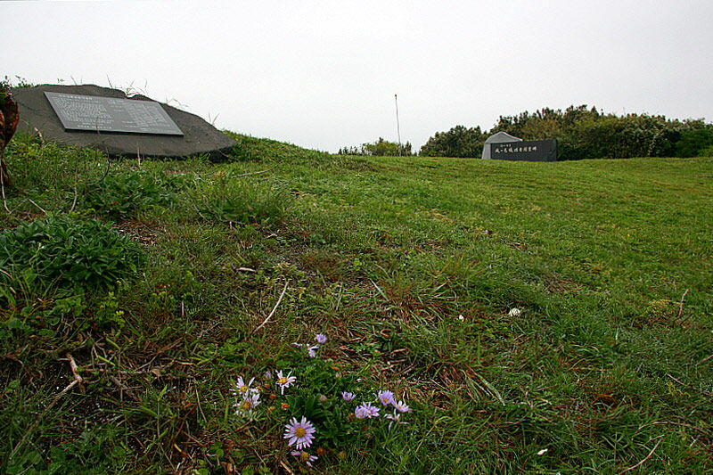 제주 4.3 성산읍 희생자 위령비와 들국화