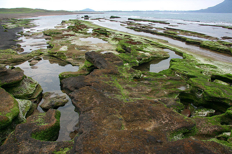 광치기 해변의 ＇돌빌레＇