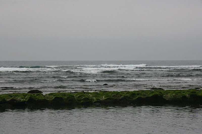바다와 바다를 가르는 ＇돌빌레＇는 수억 년 전 그 뜨거운 기억은 잊은 듯하다.
