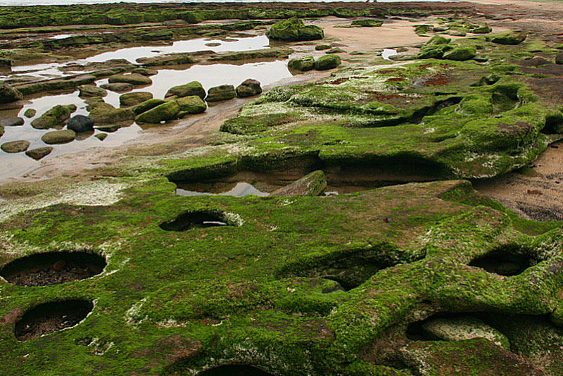 광치기 해변은 뜨거웠던 돌빌레가 침묵하는 바위가 되어 버린 현장이다.