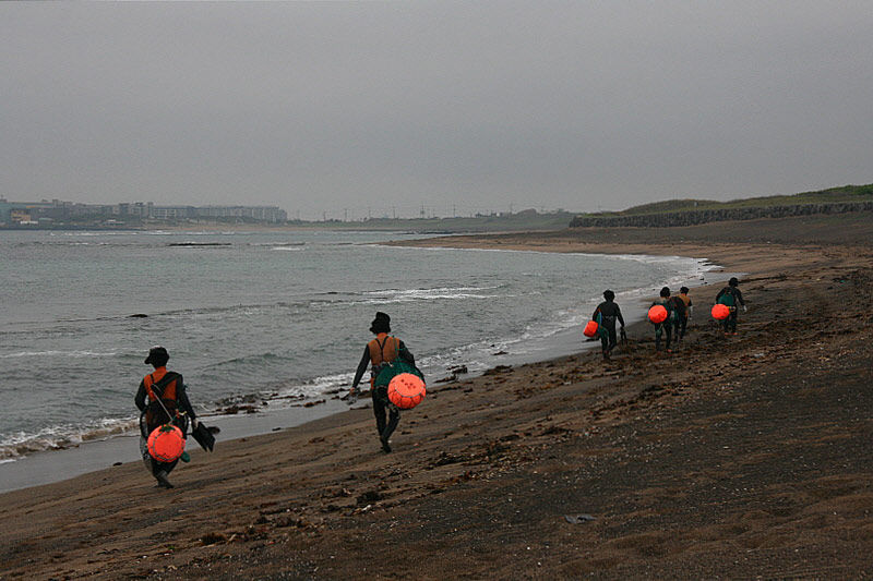 테왁과 망사리를 걸머진 채로 작업장으로 걸어가는 해녀들의 행렬이 사뭇 장엄하다.