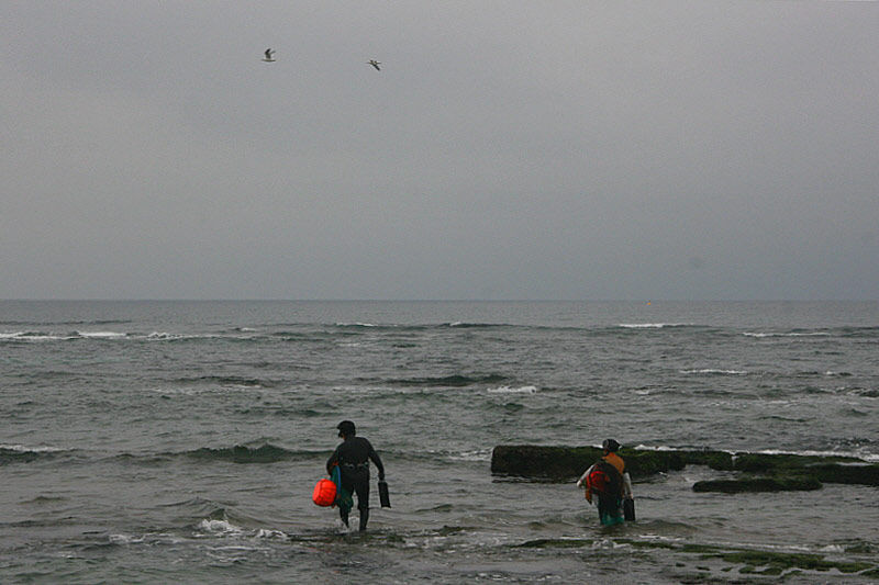 물숨이란 잘라내지 못한 욕망의 상징이면서, 불행의 씨앗이다.
