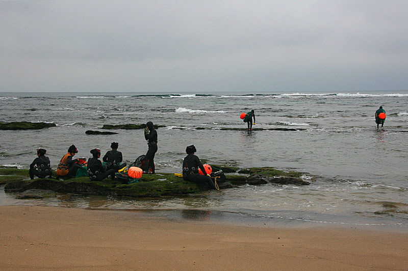해녀의 고령화로 해마다 그 수가 줄고 있다.