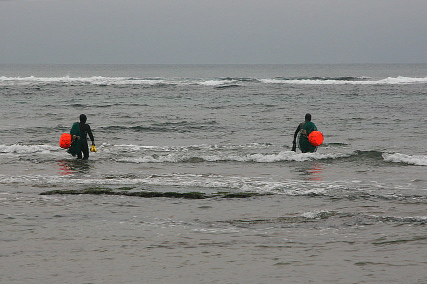 해녀들이 넘실대는 바다 속으로 걸어간다.