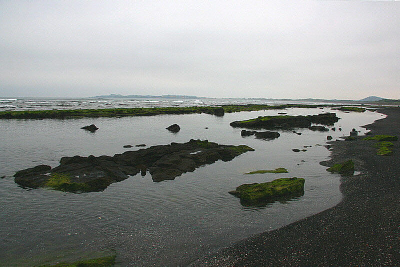 화산 폭발로 바다로 밀려든 용암들은 산을 만들기도 하고, 더러는 넓게 퍼져 너럭바위를 만들기도 했다.