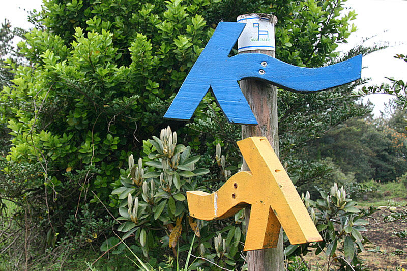  다시！ 어디로 갈 것인가？