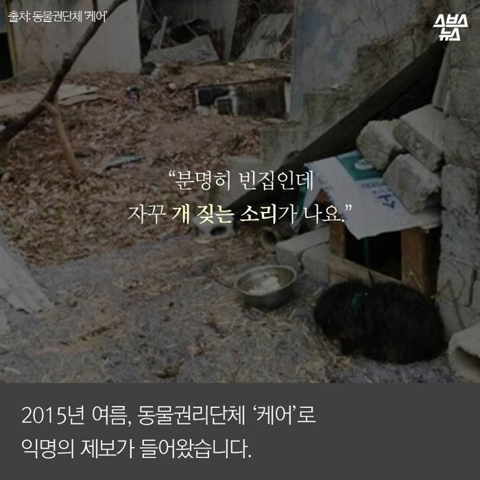 메인이미지  2 : “분명히 빈집인데 자꾸 개 짖는 소리가 나요.”
2015년 여름, 동물권리단체 ‘케어’로 익명의 제보가 들어왔습니다.
