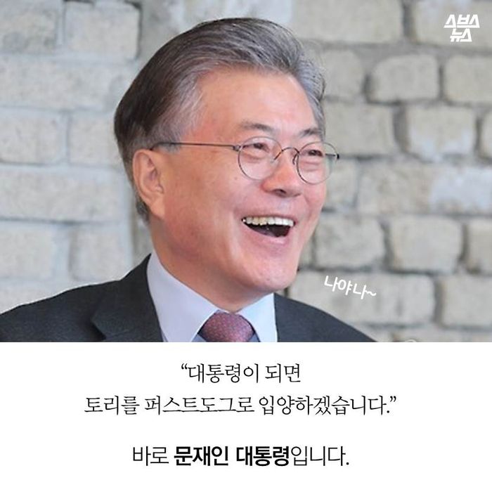 메인이미지  7 : “대통령이 되면 토리를 퍼스트도그로 입양하겠습니다.”
바로 문재인 대통령입니다.
