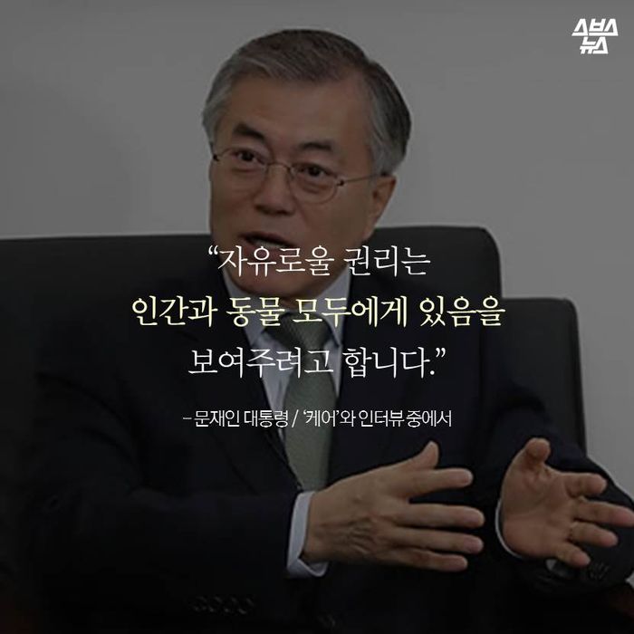 메인이미지  9 : “자유로울 권리는 인간과 동물 모두에게 있음을 보여주려고 합니다.”
- 문재인 대통령 / ‘케어’와 인터뷰 중에서
