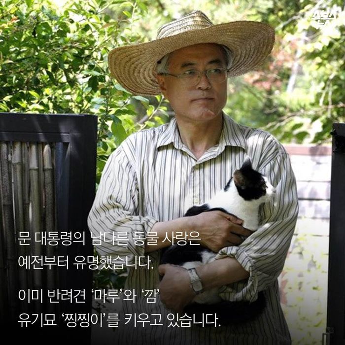 메인이미지  10 : 문 대통령의 남다른 동물 사랑은 예전부터 유명했습니다.
이미 반려견 ‘마루’와 ‘깜’ 유기묘 ‘찡찡이’를 키우고 있습니다.

