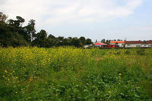 [라이프] 바닷길, 들길, 산길, 3색(色)의 합주를 듣고, 보다 - 제주 올레길 2코스 ①