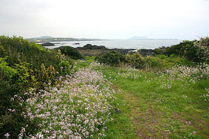 [라이프] 바닷길, 들길, 산길, 3색(色)의 합주를 듣고, 보다 - 제주 올레길 2코스 ②