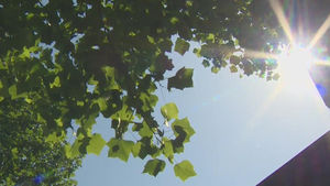 [취재파일] 올여름 폭염, 지난해보다 덜하지만 만만치 않을 듯