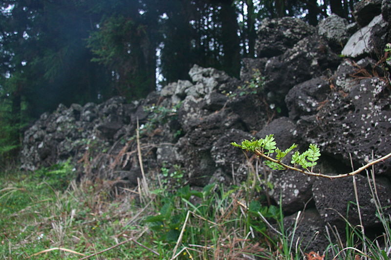 쫄븐갑마장길 29