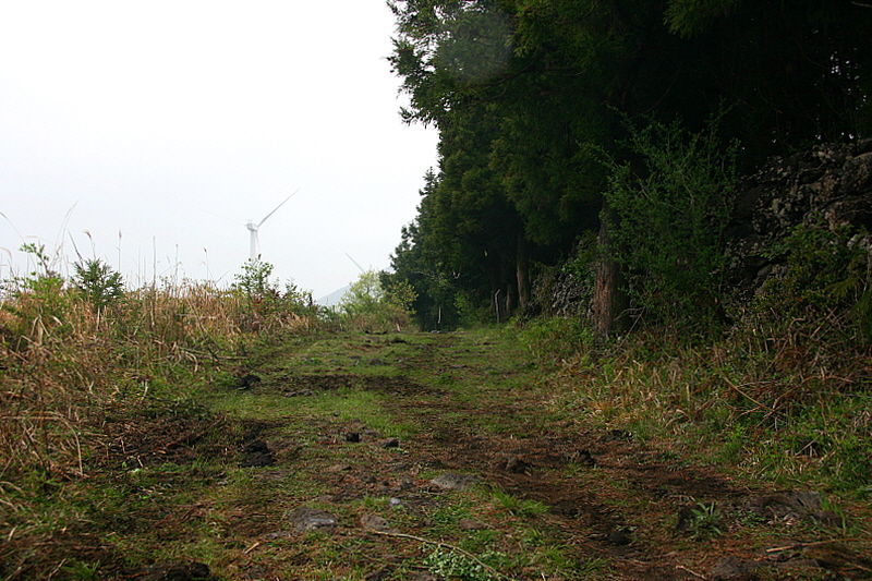 잣성길 너머로 풍력발전기가 보인다.