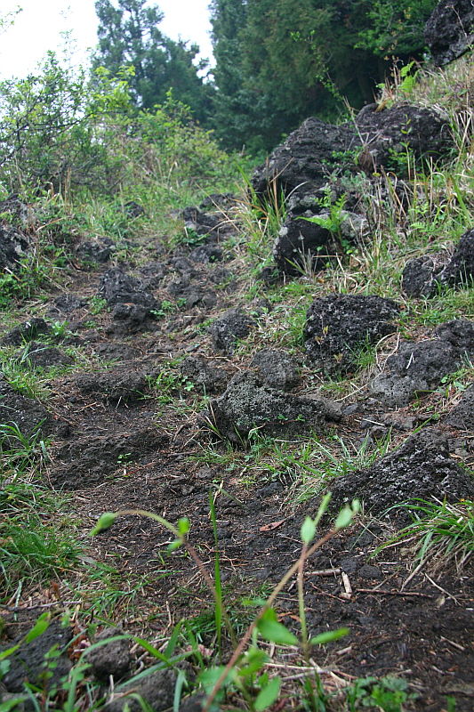 쫄븐갑마장길 31