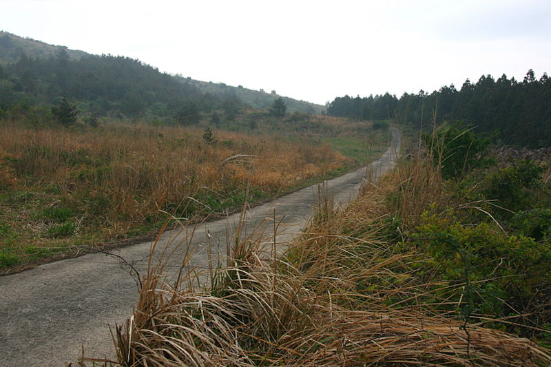 큰사슴이오름 가는 길