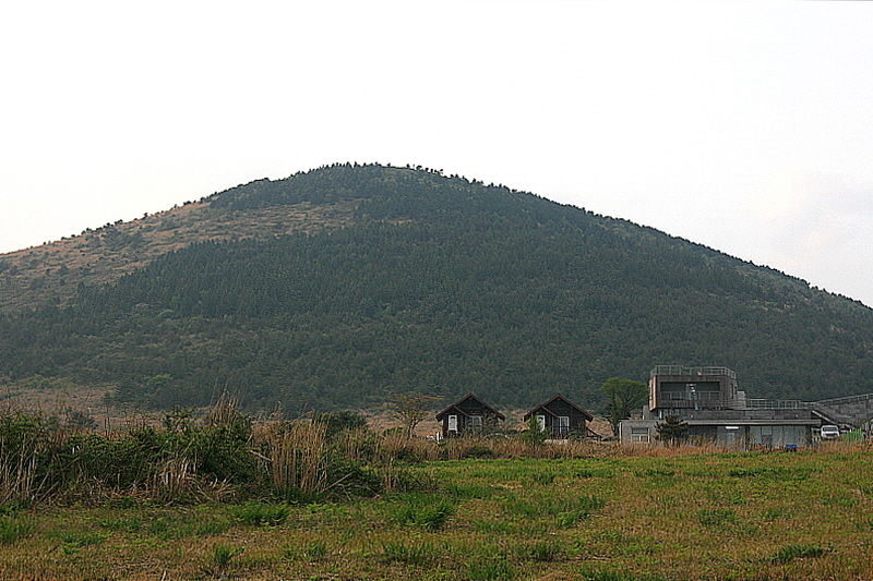 큰사슴이오름 아래에 유채꽃프라자가 자리하고 있다.