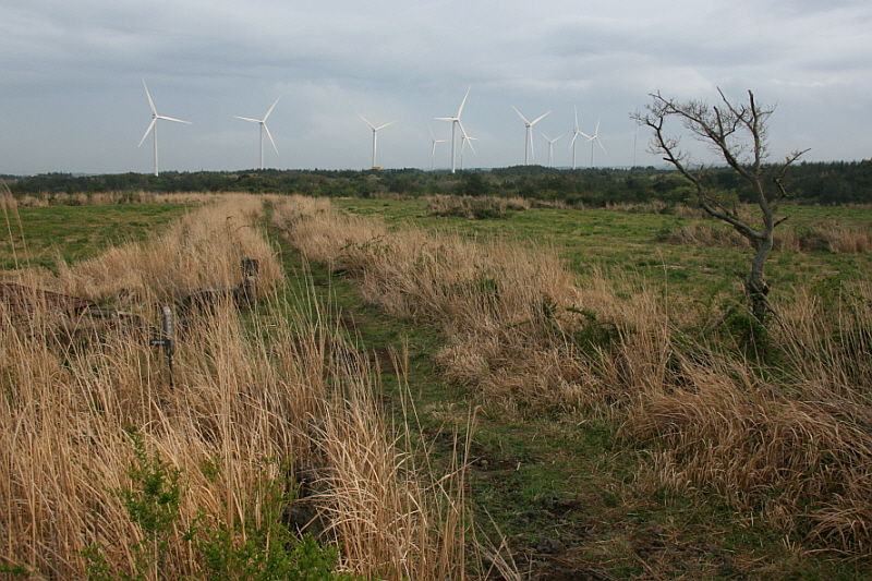 쫄븐갑마장길 35