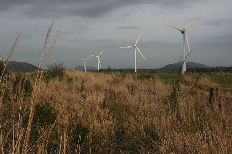 제주도에도 이렇게 넓은 평원이 있었나싶게 허허벌판이다.