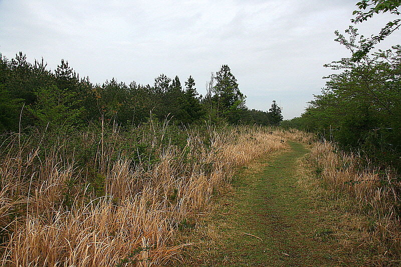 길에 주저앉아 취하고 싶었으나 가야만 했다.