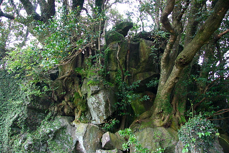 쫄븐갑마장길 39