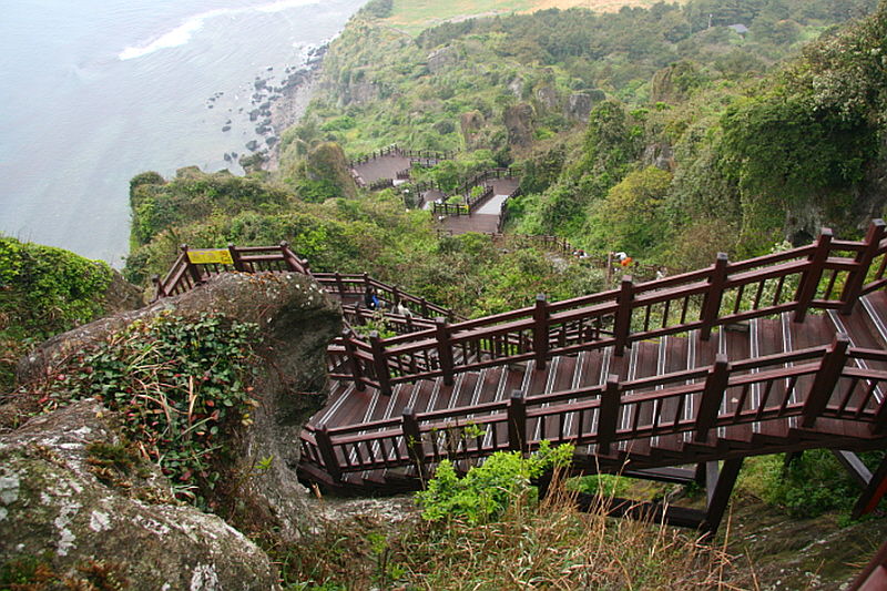 제주도의 다양한 길들.