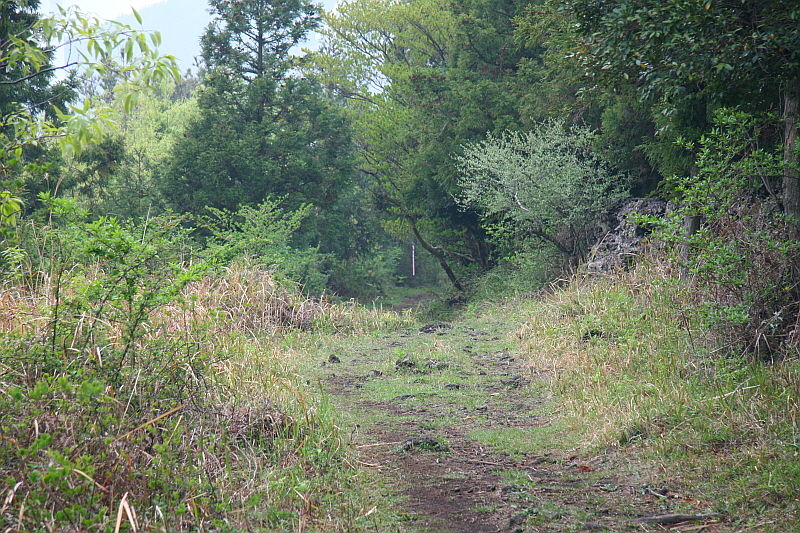길을 걸으며 사람들은 평소와 다른 생각을 하고 다른 무엇을 보고, 그런 과정 속에서 다른 무엇을 느끼게 된다.