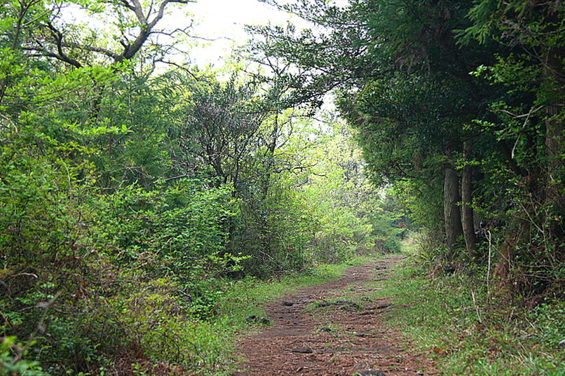 중산간 지역의 말들이 산 아래로 내려오는 것을 막기 위한 방책이 잣성이다.