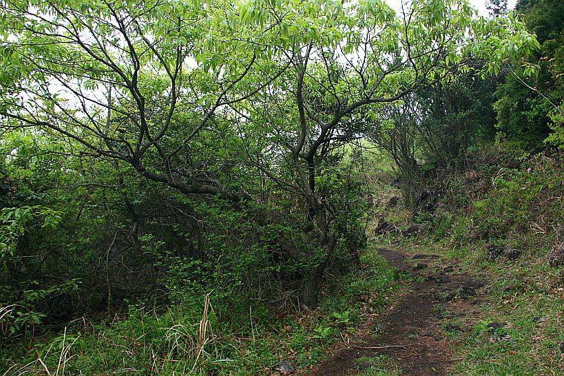 쫄븐갑마장길 31-1