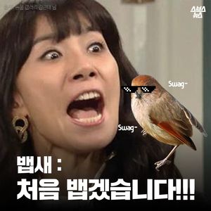 내가 못생긴 욕심쟁이라고?'…억울한 뱁새의 하소연