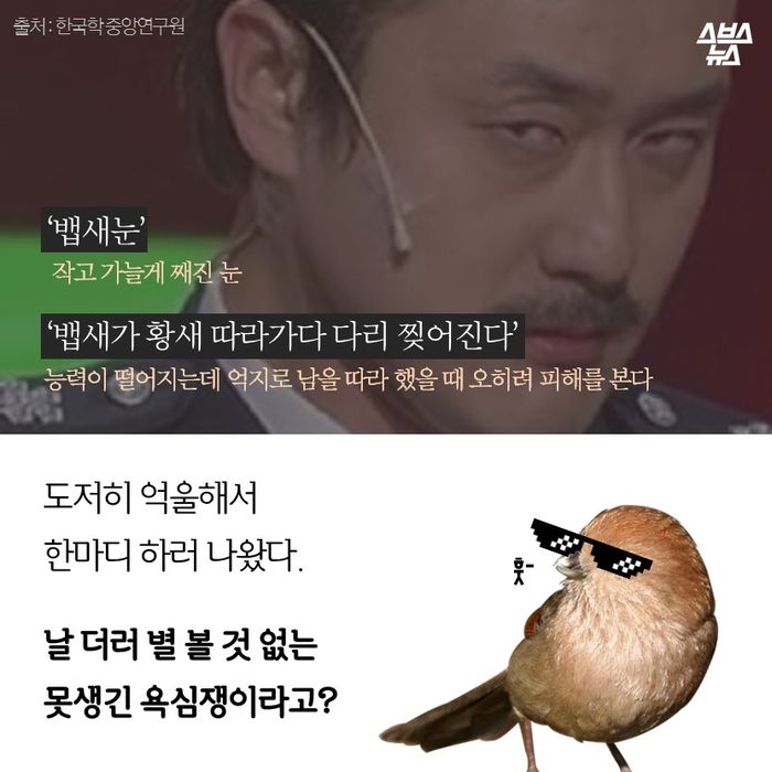 메인이미지  2 : ‘뱁새눈’ 
 작고 가늘게 째진 눈
 
‘뱁새가 황새 따라가다 다리 찢어진다’
 억지로 했을 때 오히려 피해를 본다

도저히 억울해서 
한마디 하러 나왔다.

날 더러 별 볼 것 없는
못생긴 욕심쟁이라고?