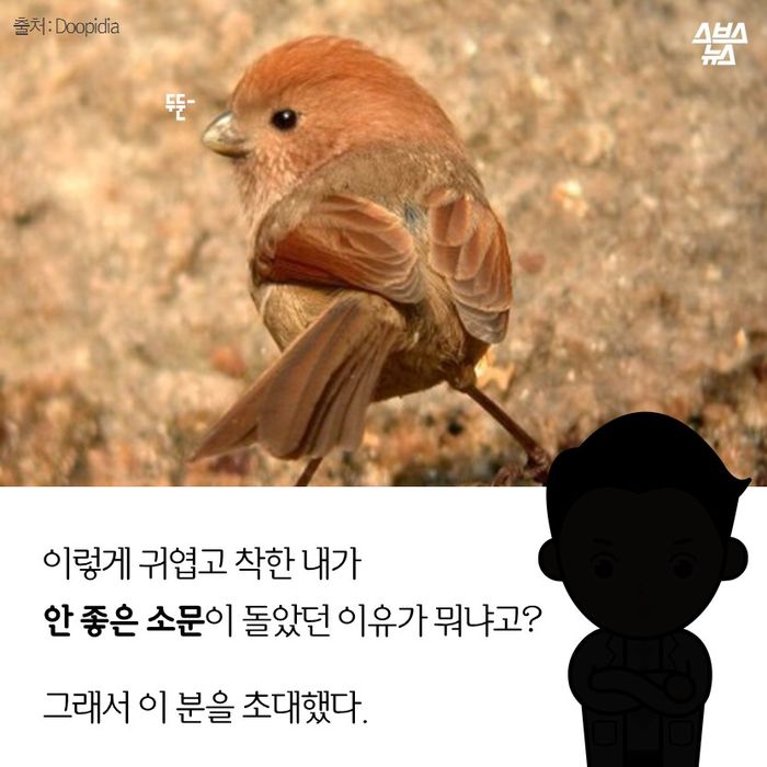 메인이미지  11 : 이렇게 귀엽고 착한 내가
안 좋은 소문이 돌았던 이유가 뭐냐고?

그래서 이 분을 초대했다.