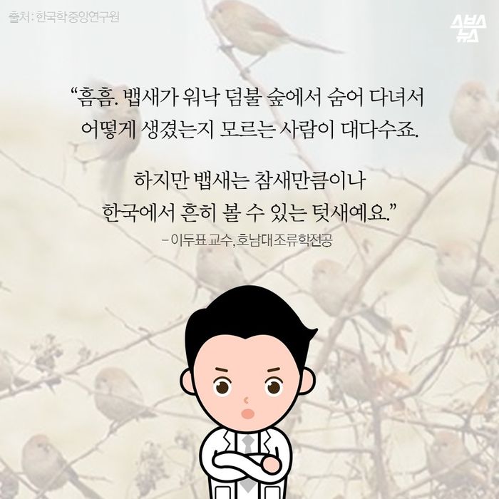 메인이미지  12 : “흠흠. 뱁새가 워낙 덤불 숲에서 숨어 다녀서 
 어떻게 생겼는지 모르는 사람이 대다수죠.

 하지만 뱁새는 참새만큼이나 
 한국에서 흔히 볼 수 있는 텃새예요.”
- 이두표 교수, 호남대 조류학전공